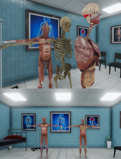 Medical-Visualization-1.jpg